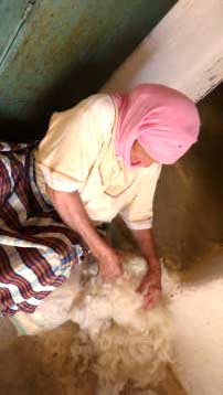 2015 Journee mondiale Art et Danse au Maroc